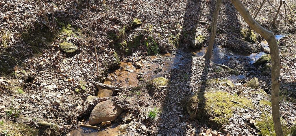 1 Flatbottom Road Ball Ground, GA 30107 - Photo 35 of 48