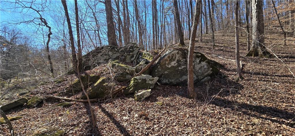 1 Flatbottom Road Ball Ground, GA 30107 - Photo 36 of 48 a view of a backyard
