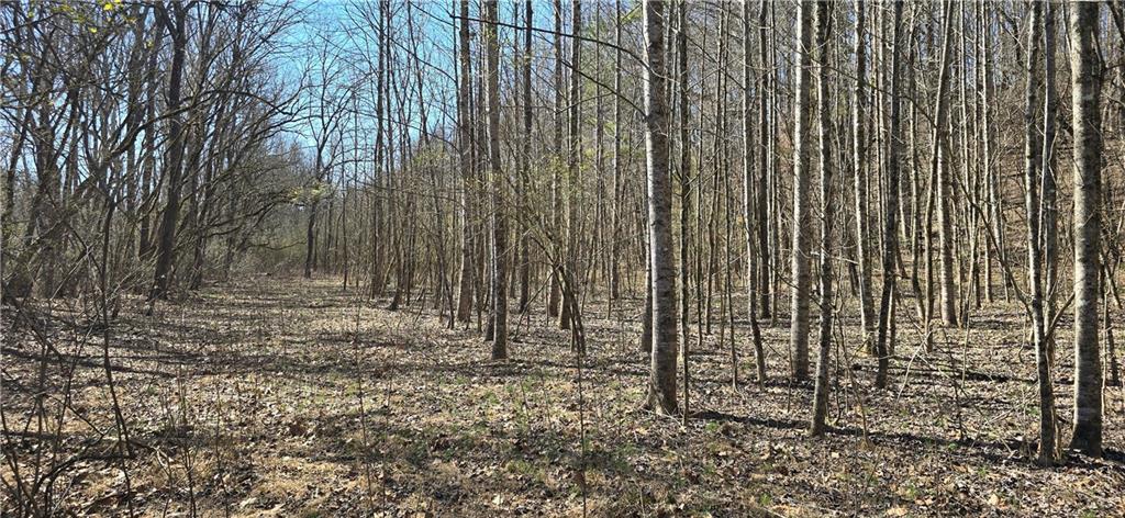 1 Flatbottom Road Ball Ground, GA 30107 - Photo 37 of 48