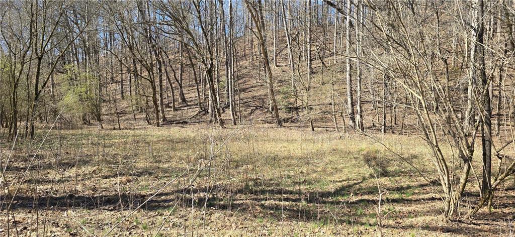 1 Flatbottom Road Ball Ground, GA 30107 - Photo 38 of 48