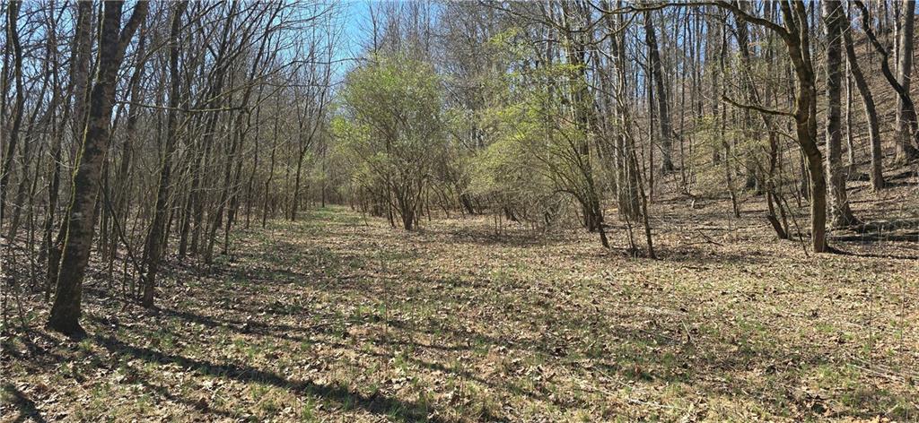 1 Flatbottom Road Ball Ground, GA 30107 - Photo 39 of 48 a view of outdoor space with large trees