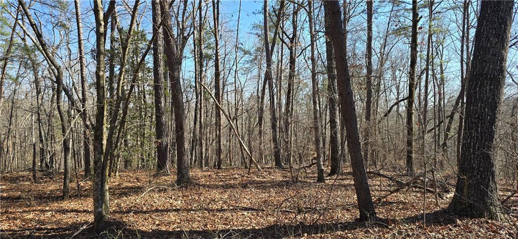 1 Flatbottom Road Ball Ground, GA 30107 - Photo 4 of 48 a view of a backyard of the house