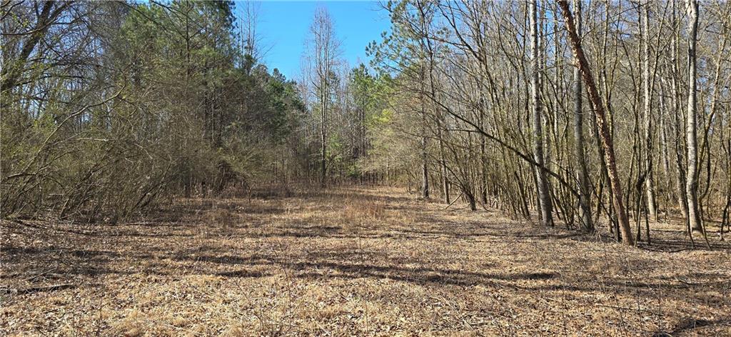 1 Flatbottom Road Ball Ground, GA 30107 - Photo 41 of 48 a view of a yard with trees