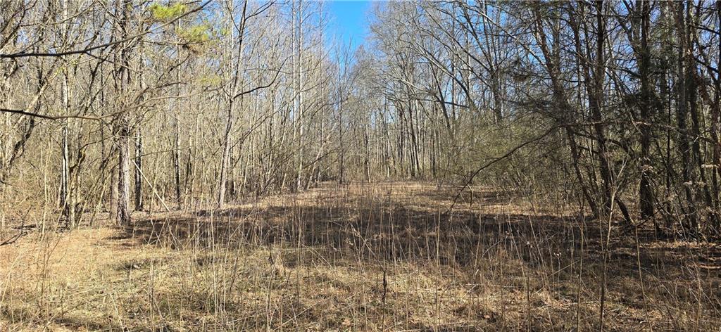 1 Flatbottom Road Ball Ground, GA 30107 - Photo 42 of 48 a backyard of a house with lots of green space