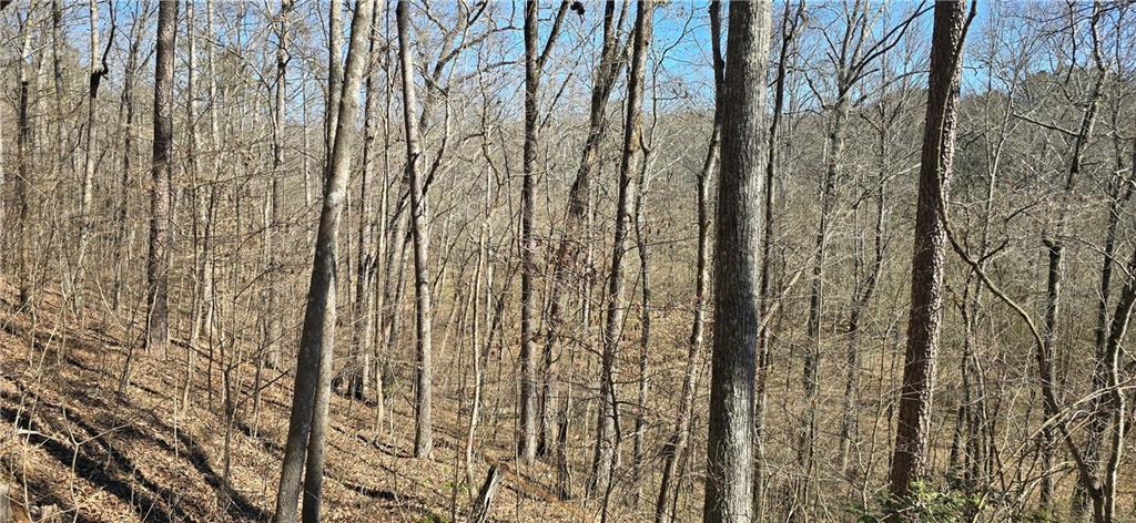 1 Flatbottom Road Ball Ground, GA 30107 - Photo 43 of 48 a view of a shower with a yard