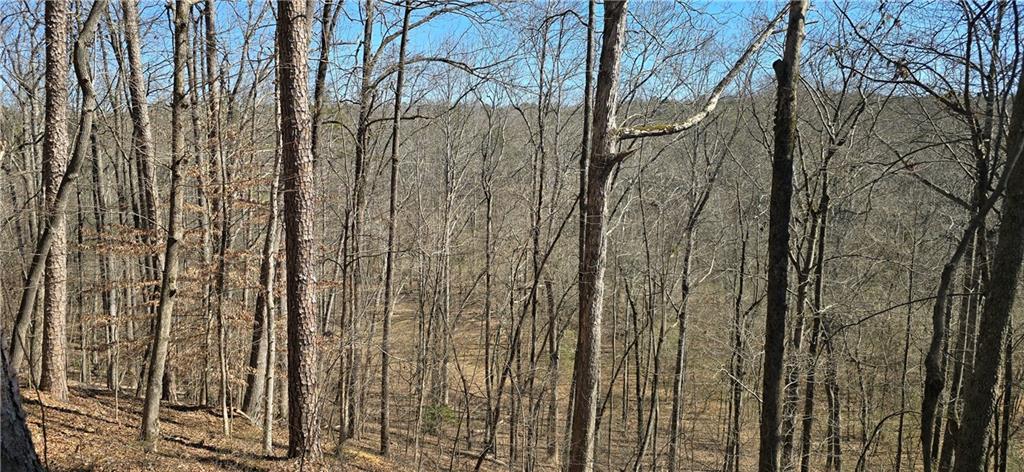 1 Flatbottom Road Ball Ground, GA 30107 - Photo 44 of 48 a view of a yard with trees