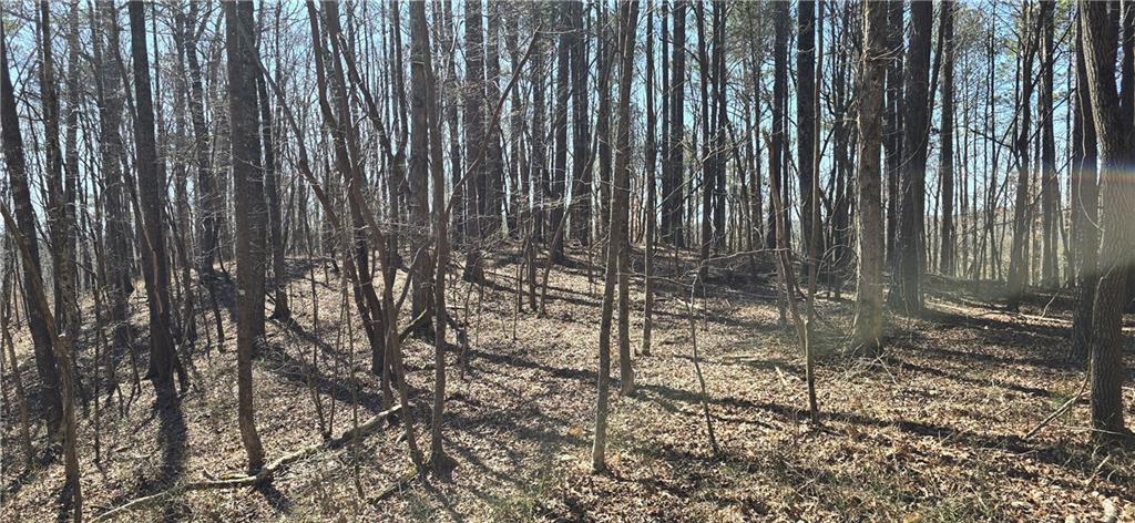 1 Flatbottom Road Ball Ground, GA 30107 - Photo 45 of 48