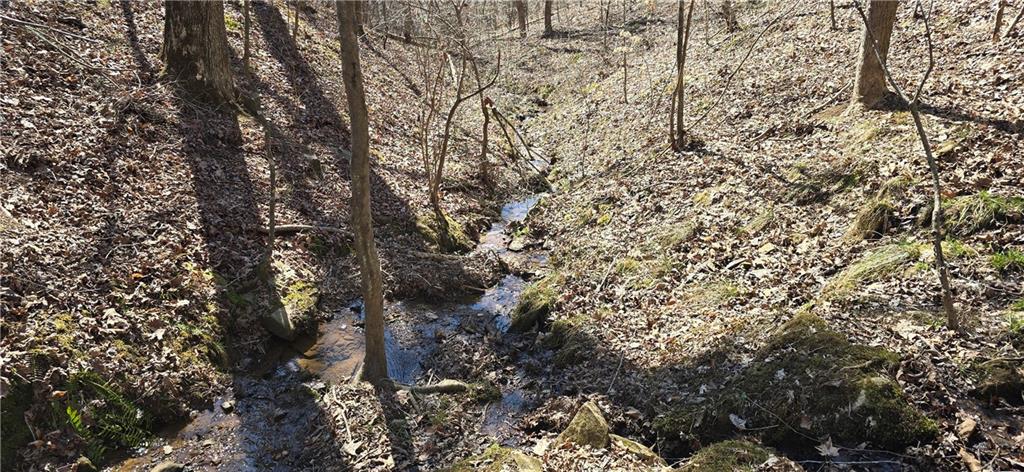 1 Flatbottom Road Ball Ground, GA 30107 - Photo 47 of 48 a view of forest