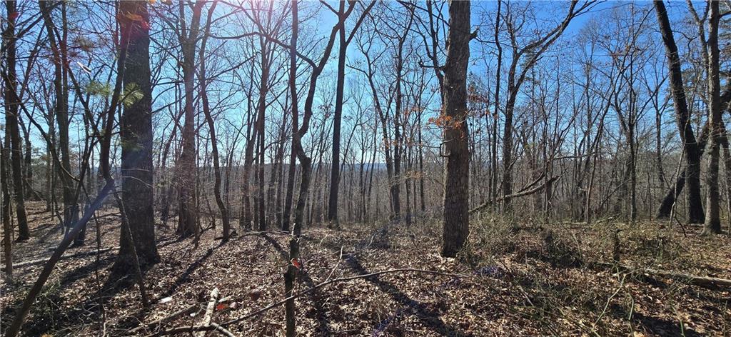 1 Flatbottom Road Ball Ground, GA 30107 - Photo 7 of 48 a view of a backyard
