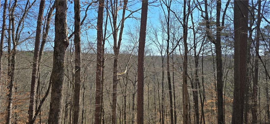 1 Flatbottom Road Ball Ground, GA 30107 - Photo 8 of 48 a view of outdoor space with a trees