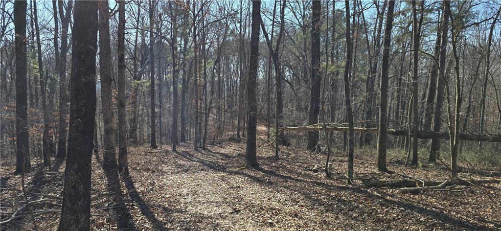 1 Flatbottom Road Ball Ground, GA 30107 - Photo 9 of 48