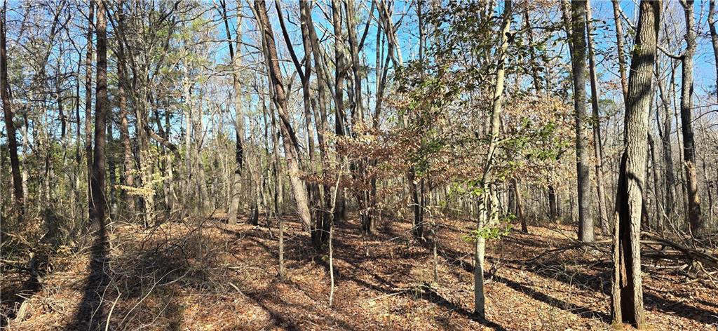1 Flatbottom Road Ball Ground, GA 30107 - Photo 10 of 48 a view of a forest