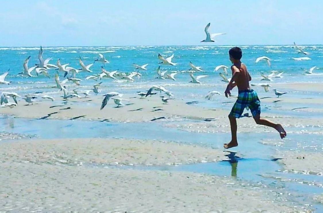 2618 Rion Street Georgetown, SC 29440 - Photo 40 of 46