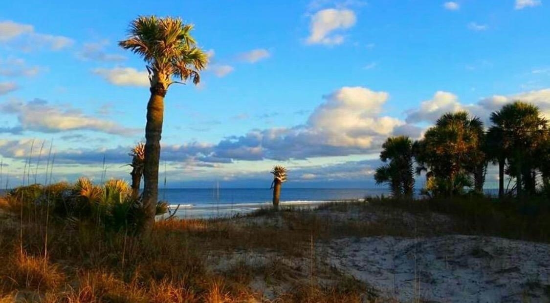 2618 Rion Street Georgetown, SC 29440 - Photo 43 of 46