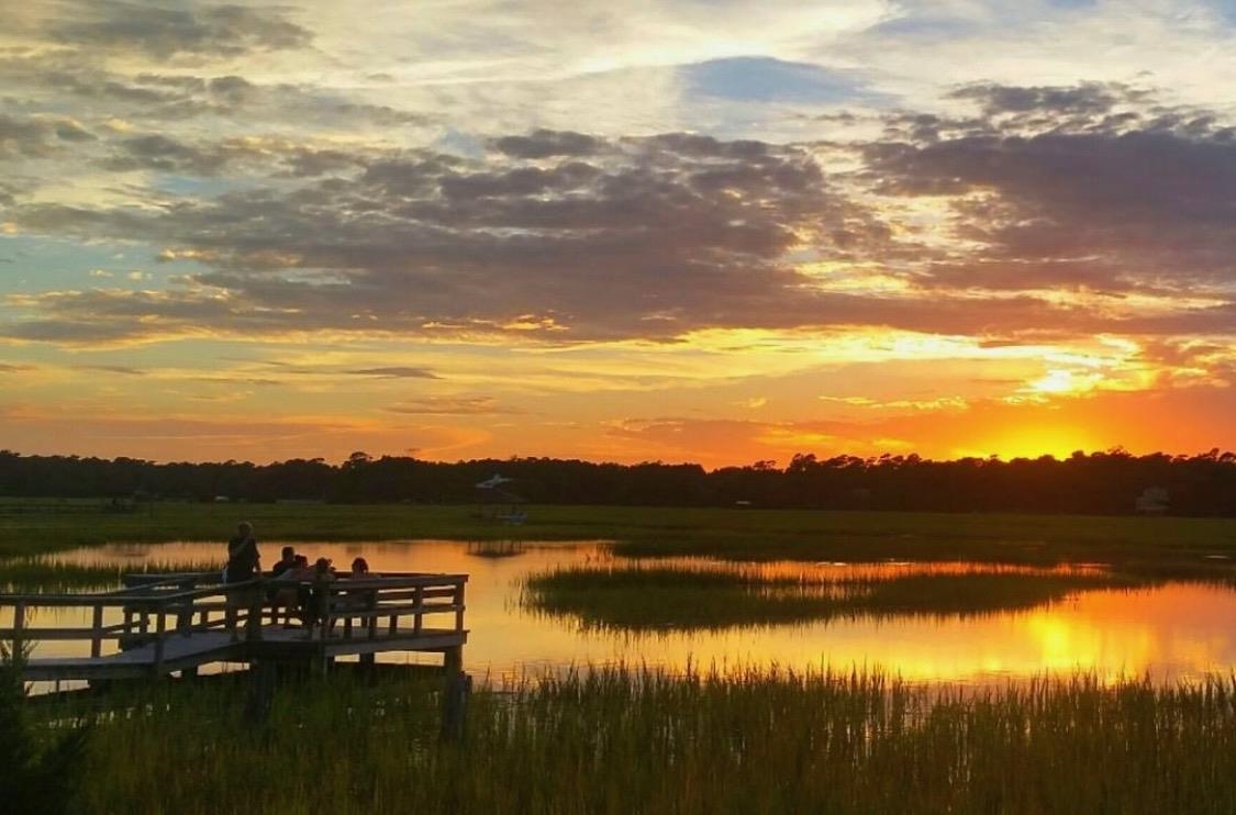 2618 Rion Street Georgetown, SC 29440 - Photo 45 of 46