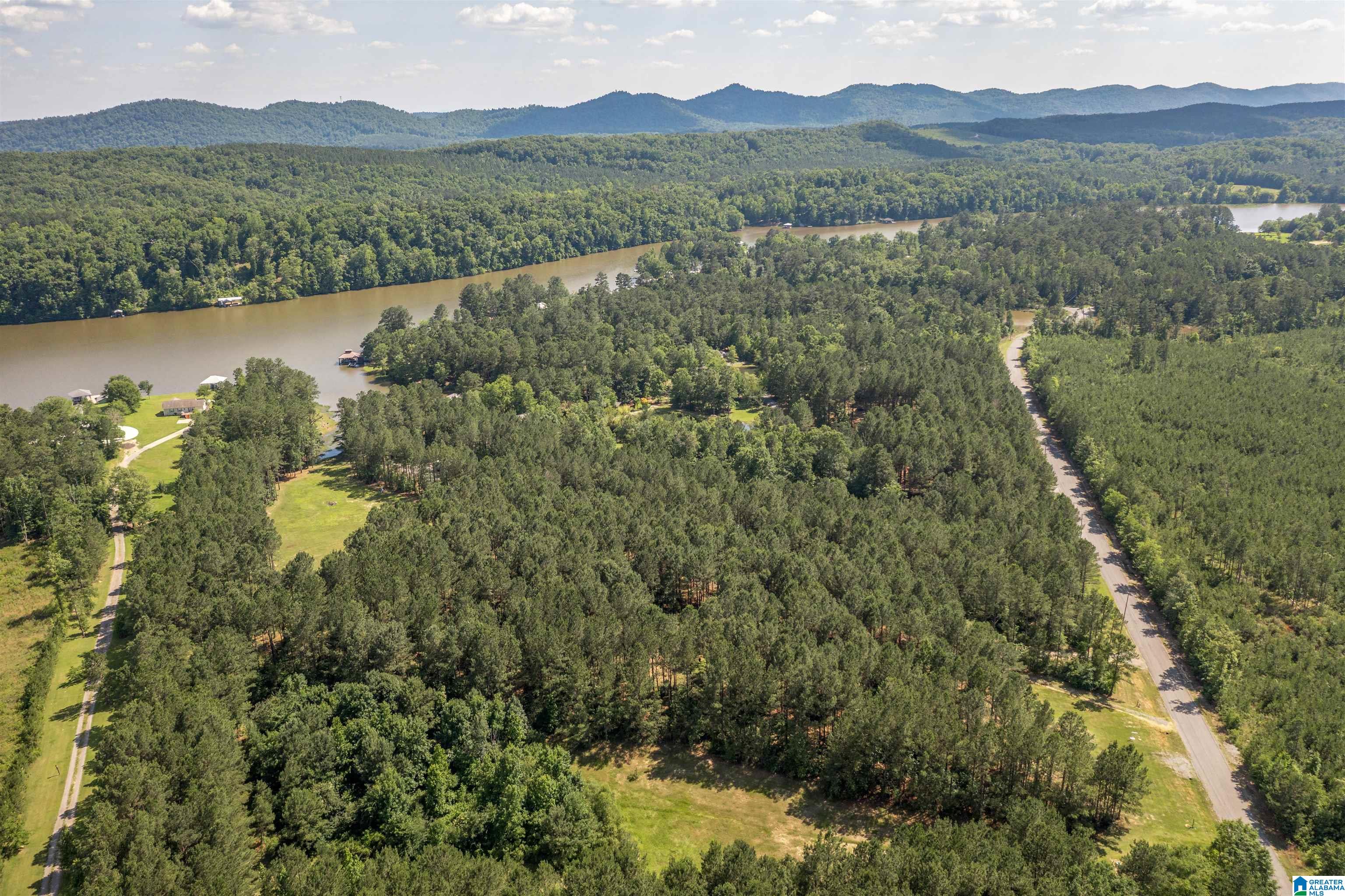 89 Golden Pond Road, Unit 9 Ashville, AL 35953 - Photo 4 of 35