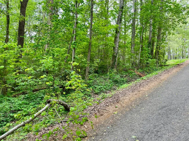 $24,000 | Lot 25 Omega Drive, Whitwell, TN 37397