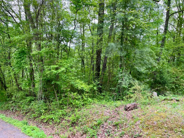 $24,000 | Lot 25 Omega Drive, Whitwell, TN 37397