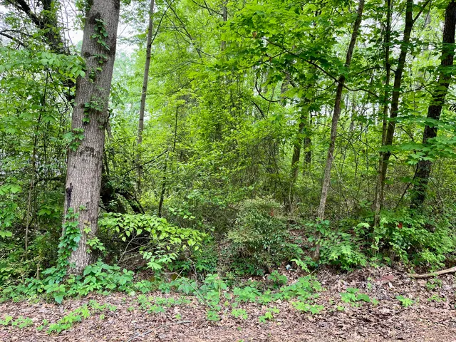 $24,000 | Lot 25 Omega Drive, Whitwell, TN 37397