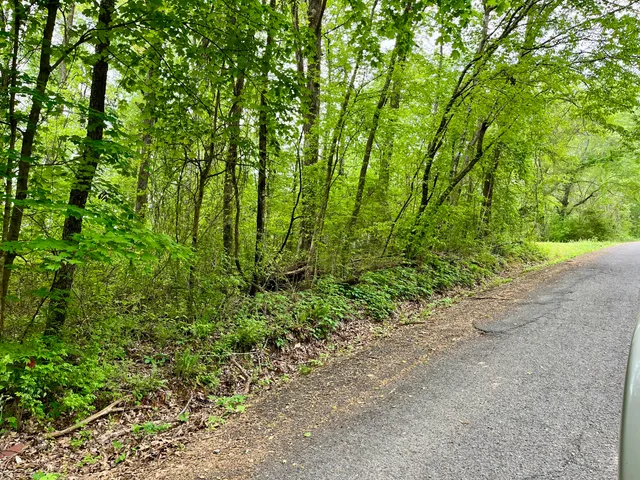 $24,000 | Lot 25 Omega Drive, Whitwell, TN 37397