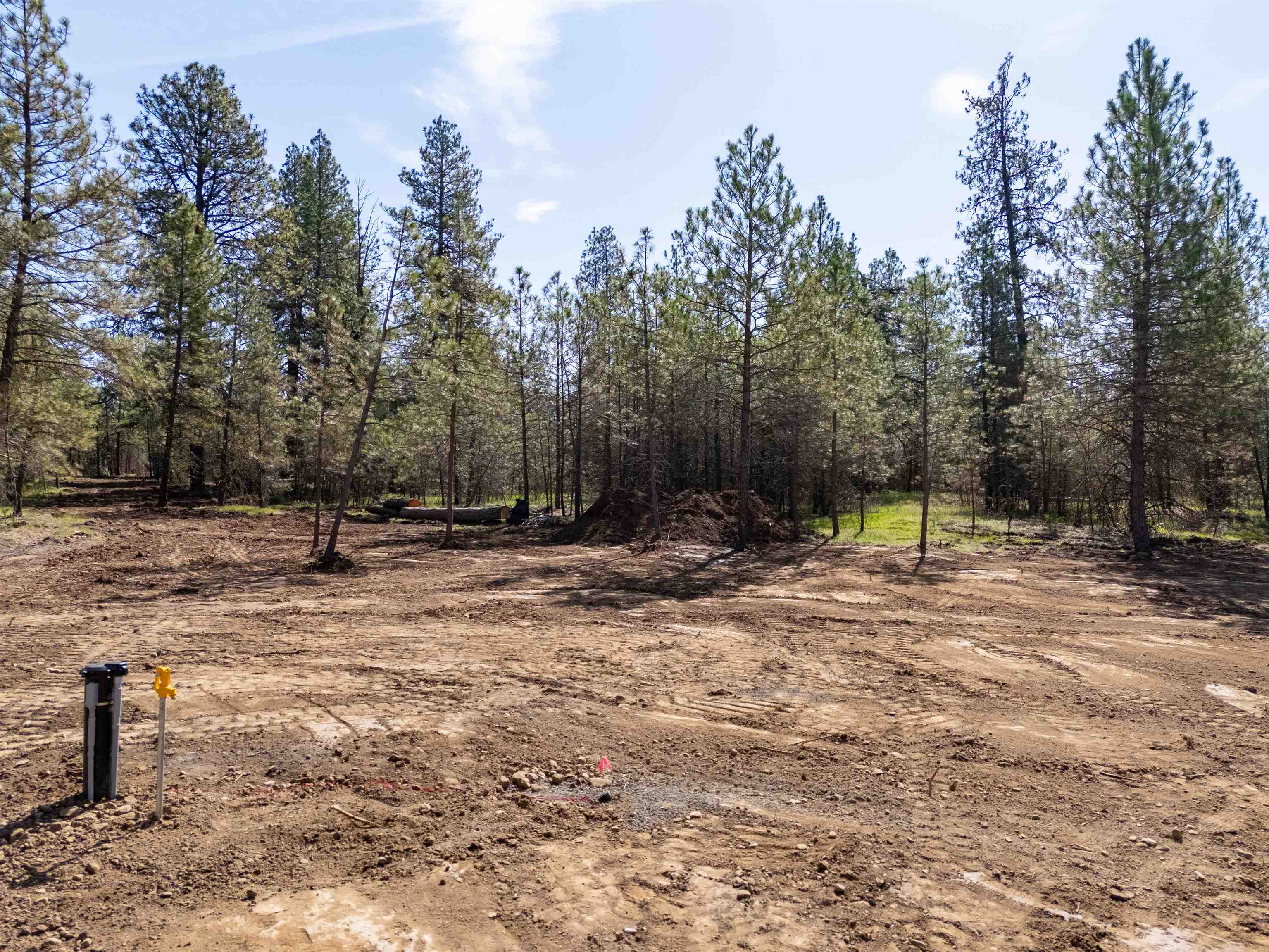 14725 South Stangland Road Cheney, WA 99004 - Photo 6 of 31