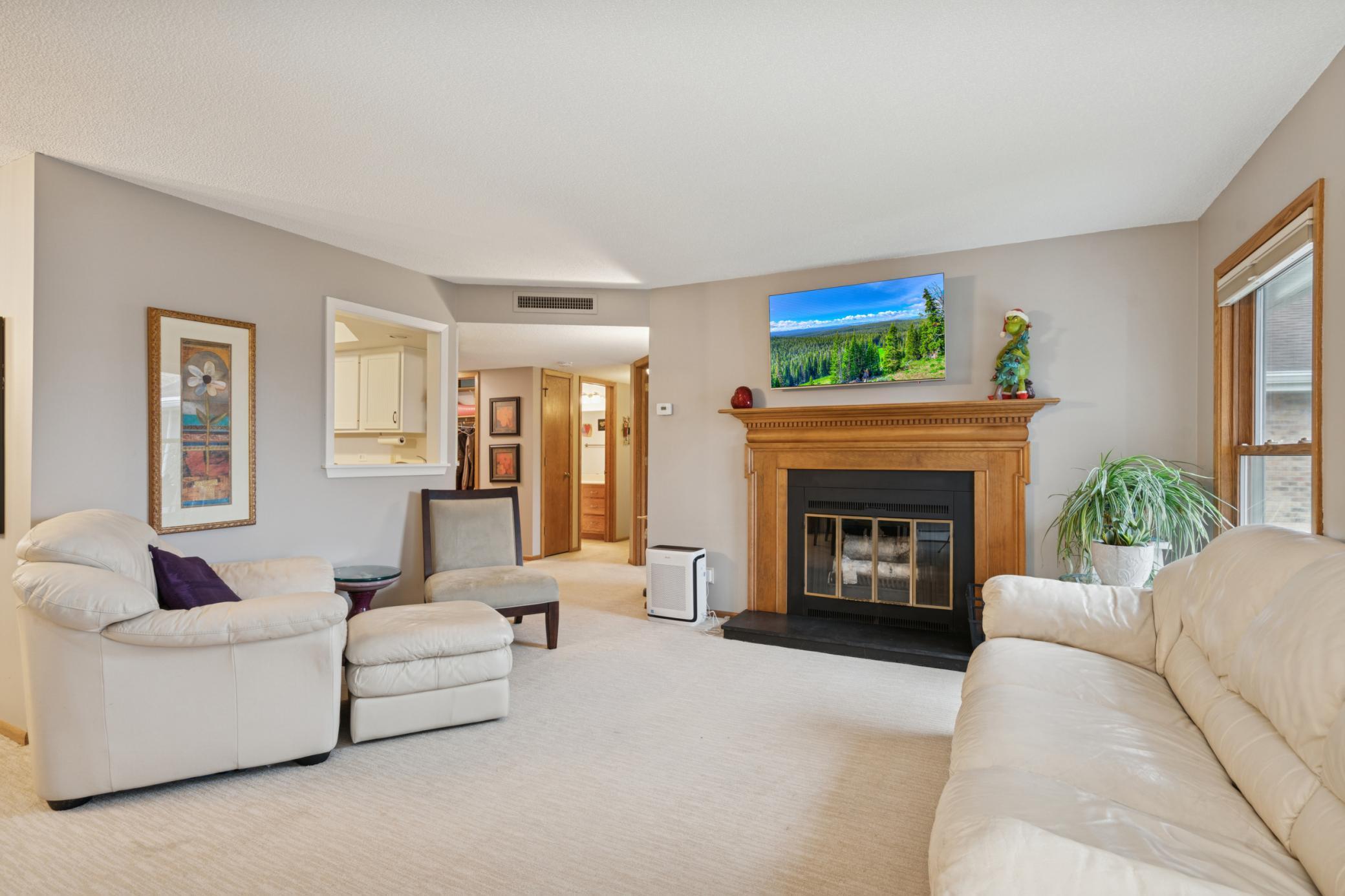 3020 St Albans Mill Road, Unit 310 Minnetonka, MN 55305 - Photo 8 of 31