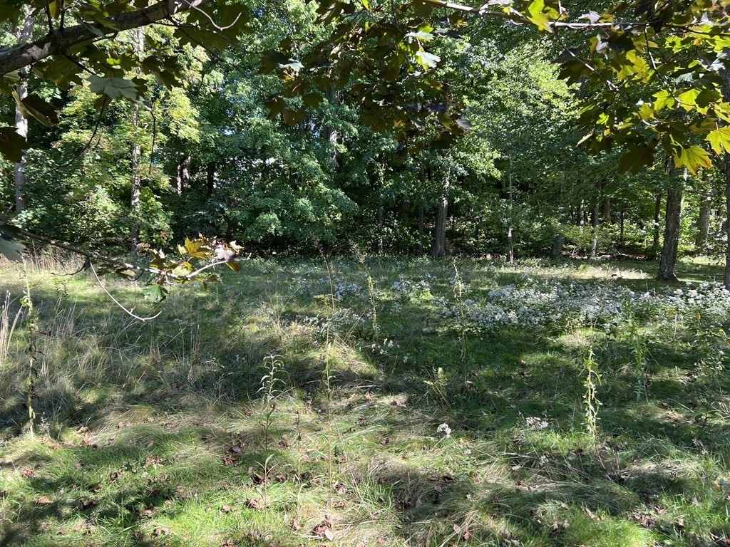 59 Whittemore Road Sturbridge, MA 01566 - Photo 11 of 25 Gallery Image 11
