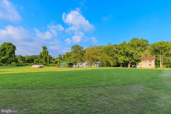 a view of a big yard with a large trees