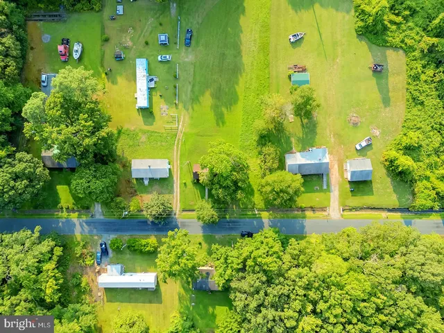 a view of a garden with plants
