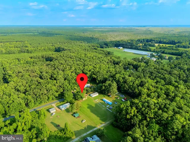 a view of a lush green field