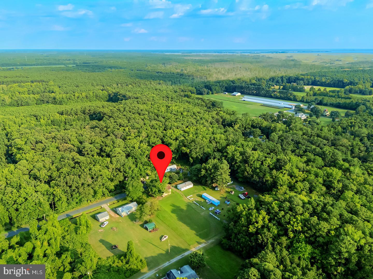 4152 Jesterville Road Tyaskin, MD 21865 - Photo 9 of 21 a view of a lush green field