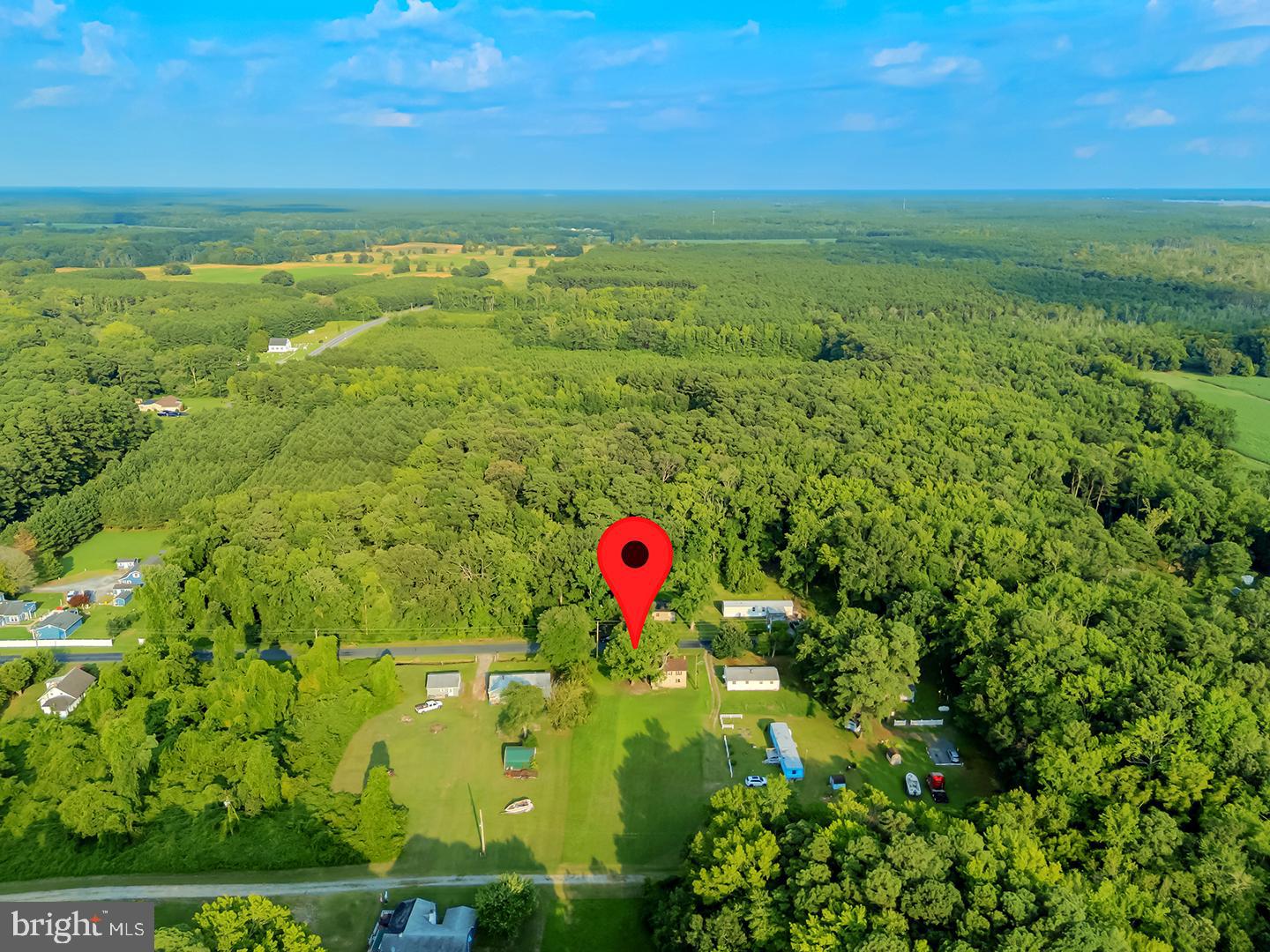 4152 Jesterville Road Tyaskin, MD 21865 - Photo 10 of 21 a view of outdoor space and garden