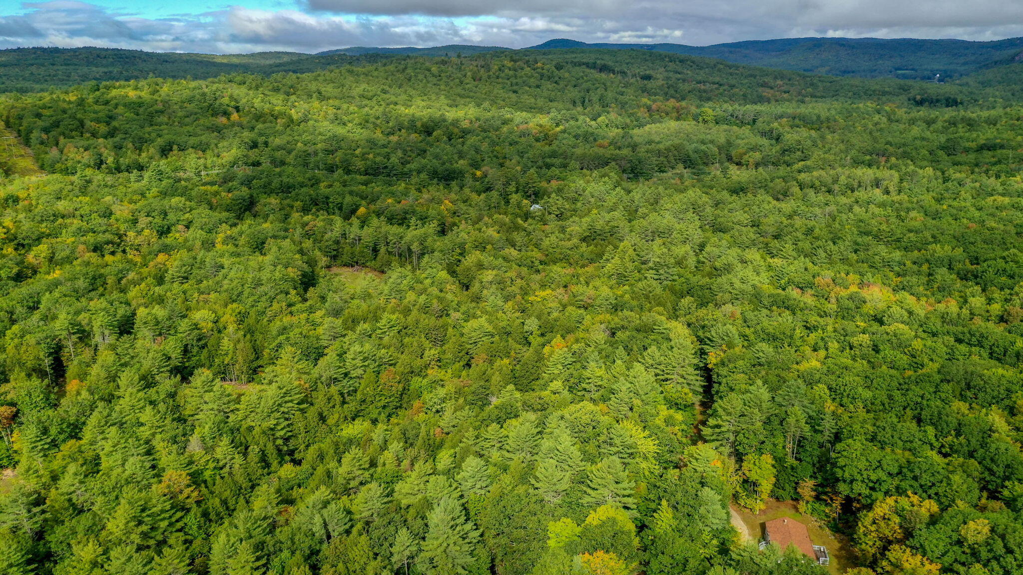 38 Rolfe Road Harrison, ME 04040 - Photo 29 of 39 29-web-or-mls-pic-2