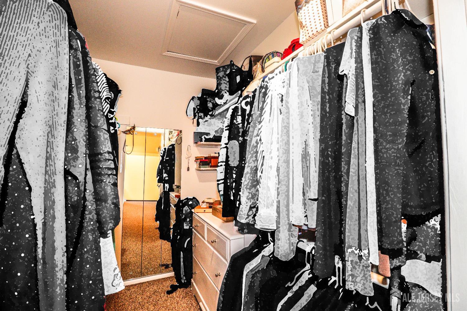 62 Haverhill Place Somerset, NJ 08873 - Photo 22 of 26 a view of walk in closet with clothes and shoes