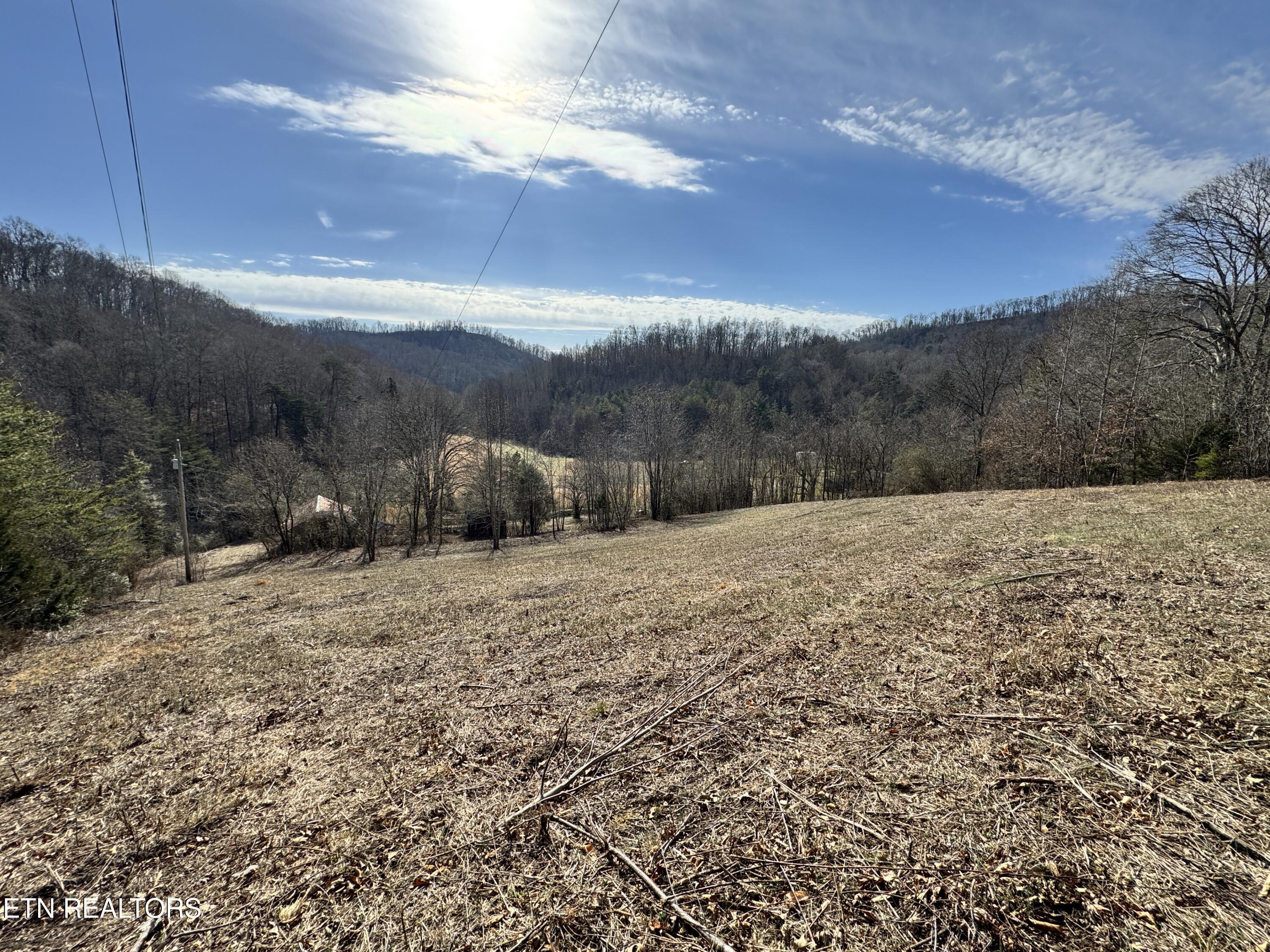 1135 Ned Clark Rd Bean Station, TN