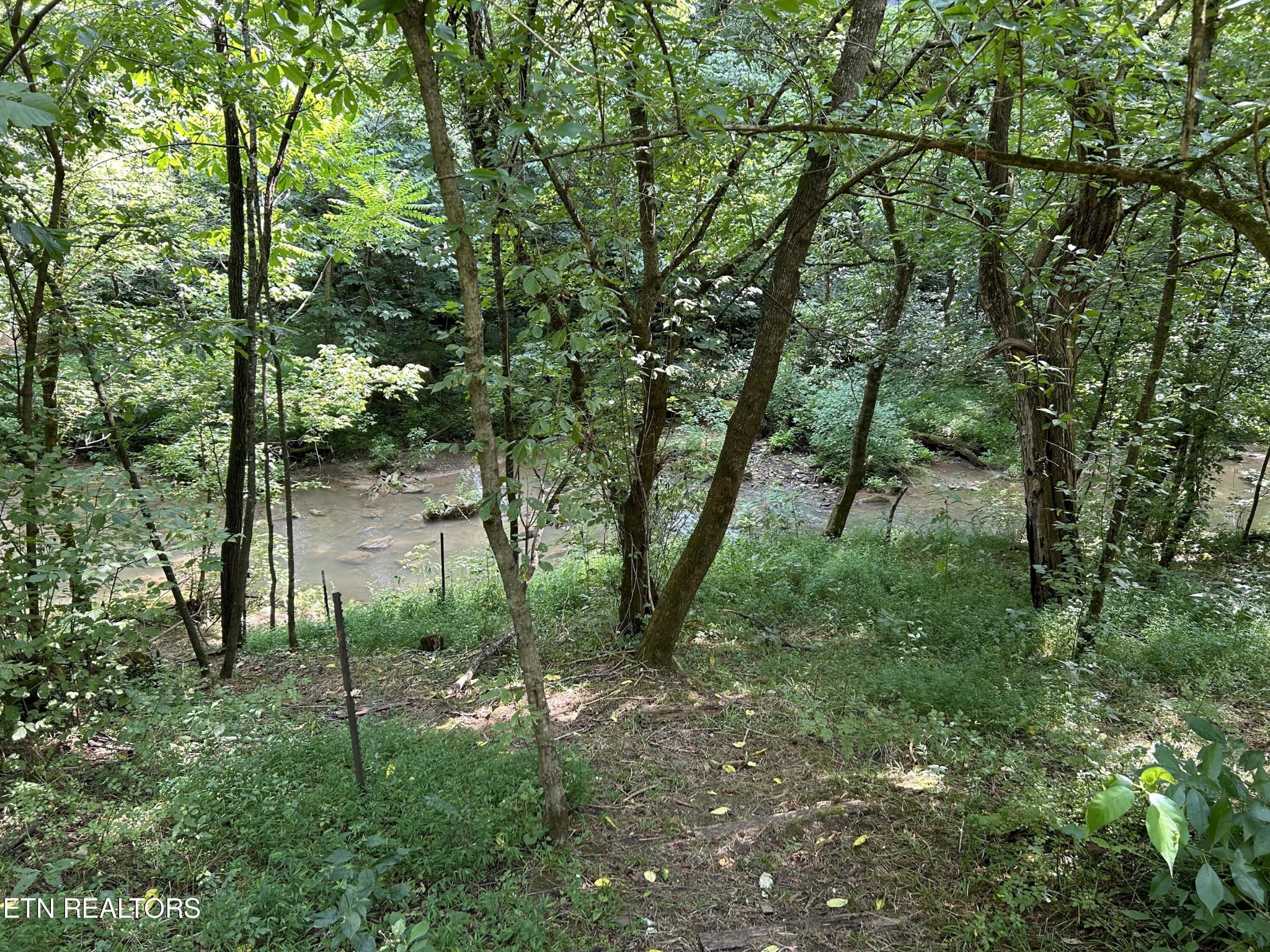 1485 Campbell Road Greeneville, TN 37745 - Photo 26 of 29 Gallery Image 26