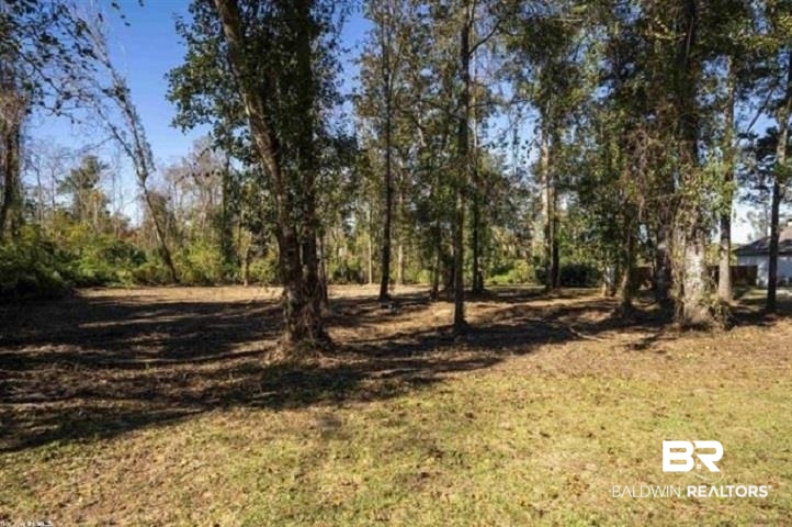 27 Polo Ridge Boulevard Fairhope, AL 36532 - Photo 3 of 12