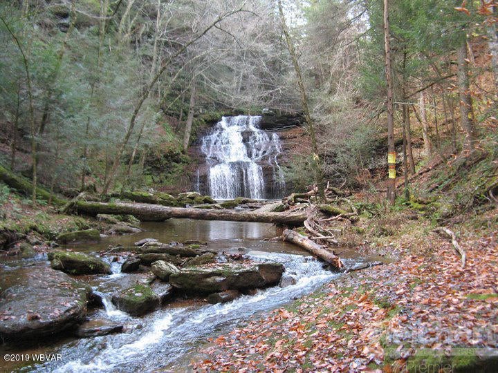 11280 Ellenton Mountain Road Shunk, PA 17768 - Photo 3 of 61 Buttermilk Falls