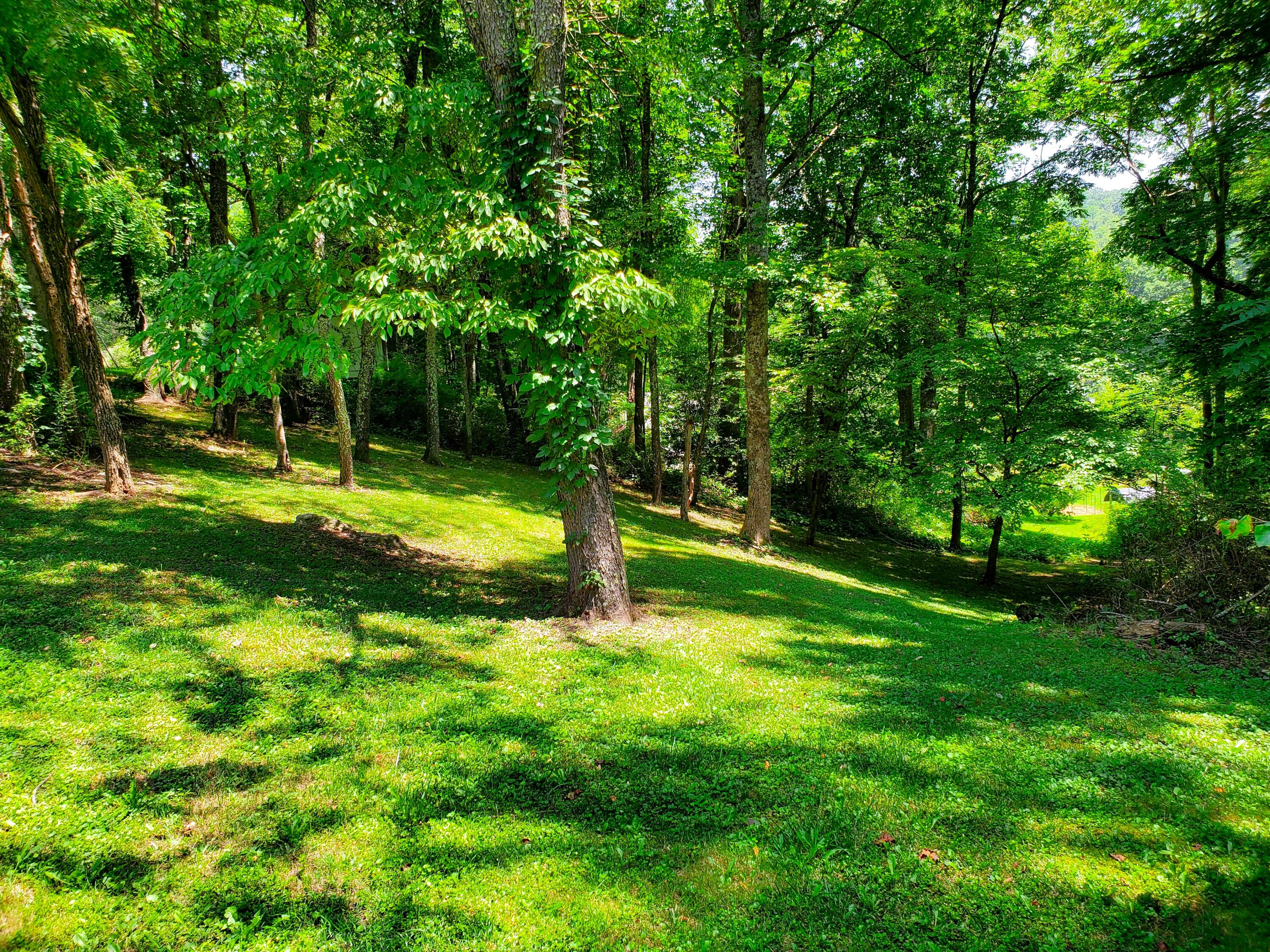 8018 Jennings Road Wise, VA 24293 - Photo 23 of 28 Yard