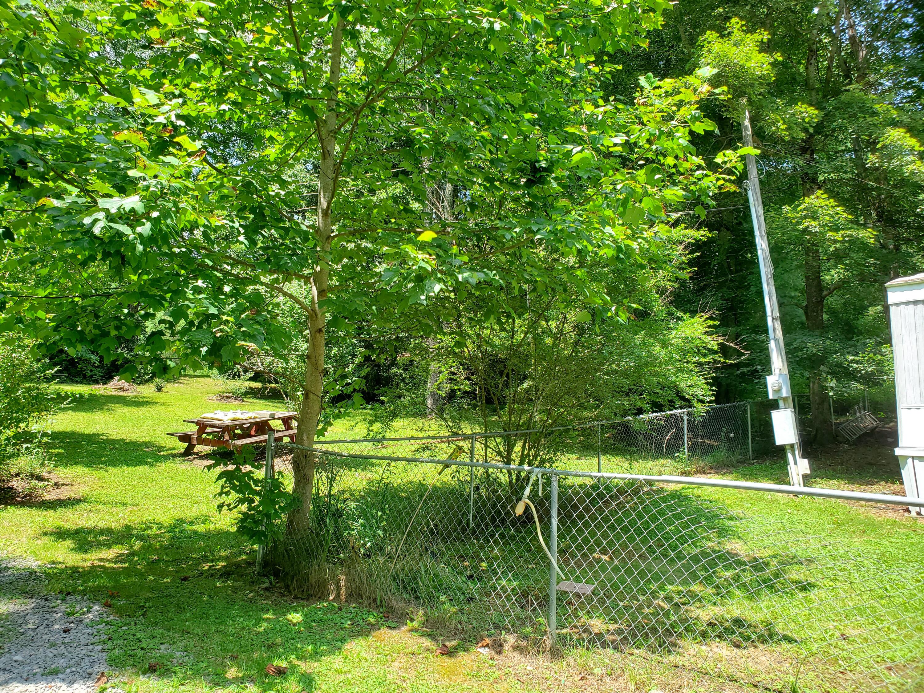 8018 Jennings Road Wise, VA 24293 - Photo 24 of 28 Left side yard