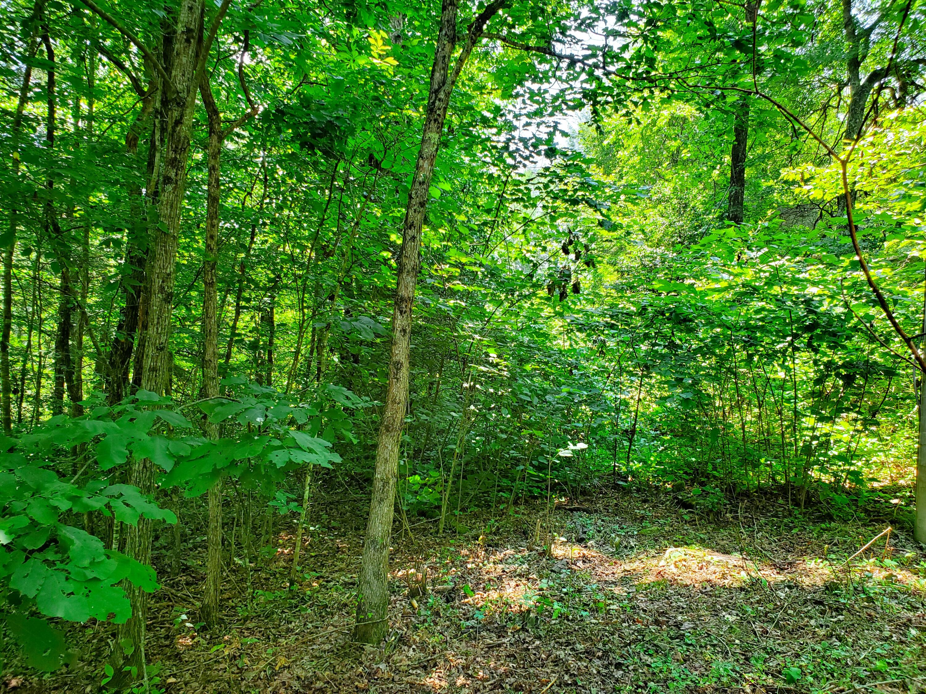 8018 Jennings Road Wise, VA 24293 - Photo 25 of 28 Property view