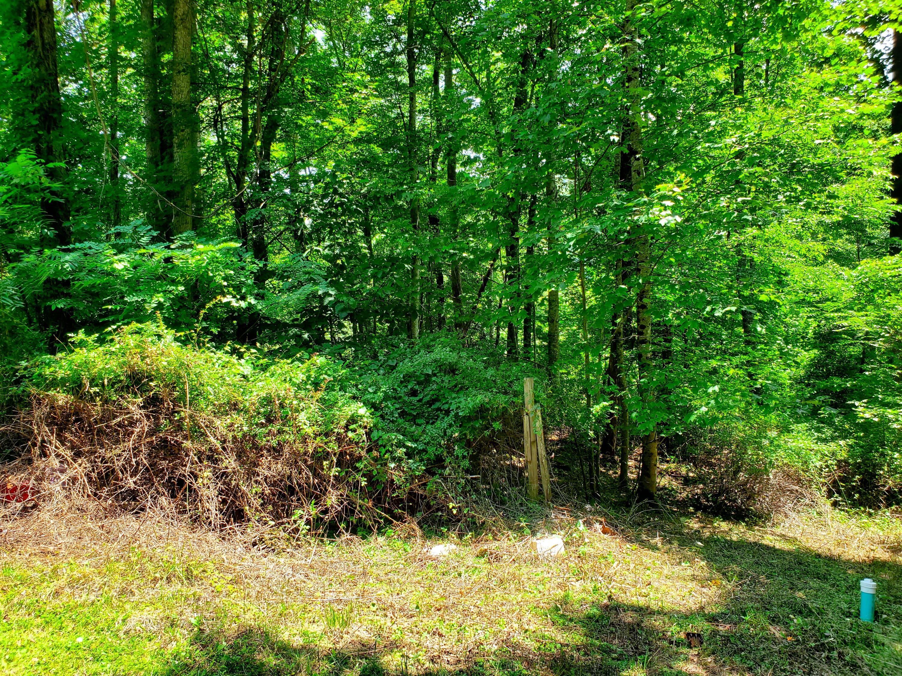 8018 Jennings Road Wise, VA 24293 - Photo 26 of 28 Property view