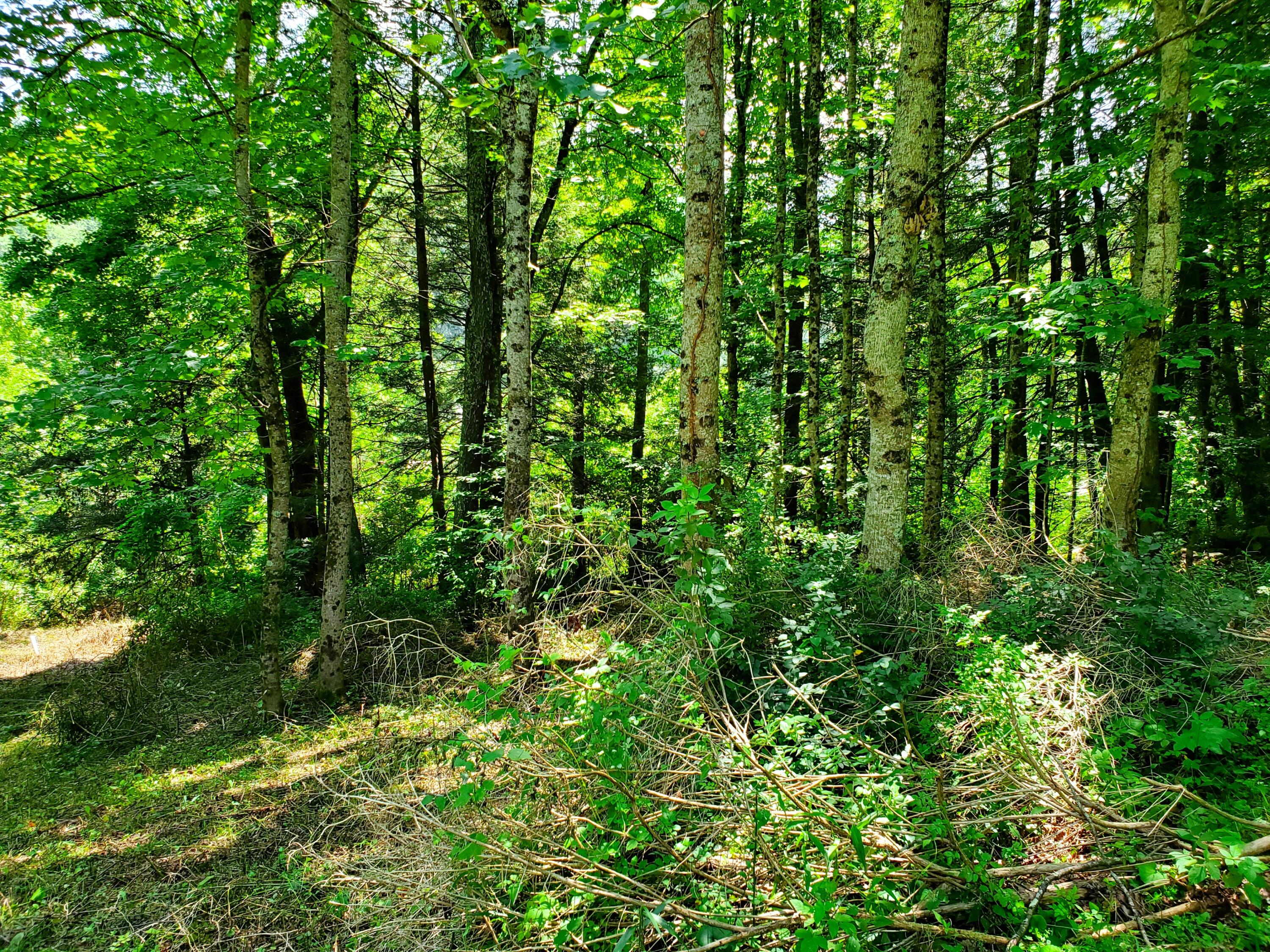 8018 Jennings Road Wise, VA 24293 - Photo 27 of 28 Property view