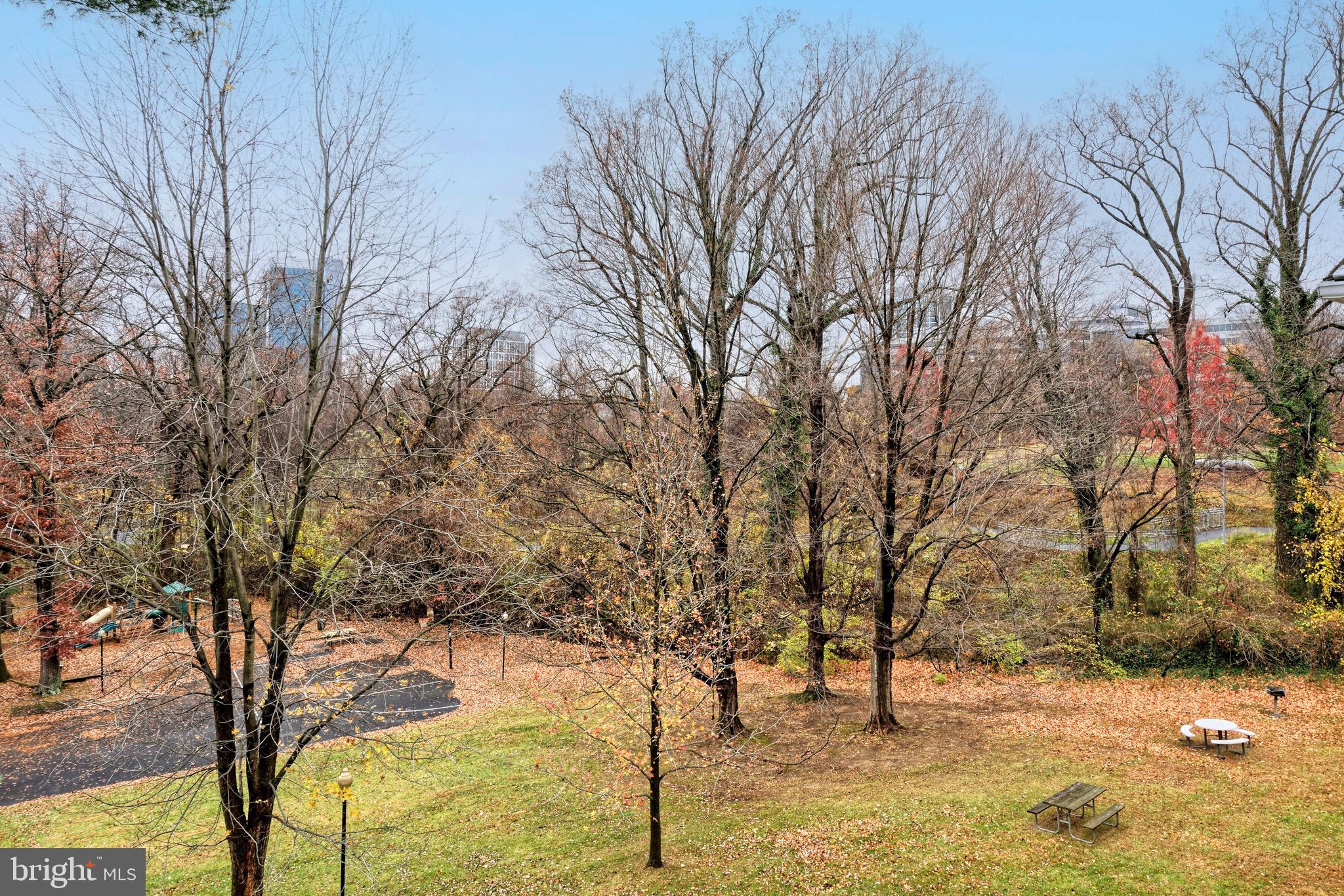 7680 Tremayne Place, Unit 308 McLean, VA 22102 - Photo 9 of 31 a view of back yard