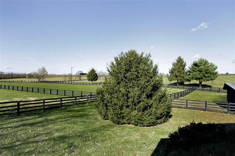 4760 McCowans Ferry Road Versailles, KY 40383 - Photo 34 of 37 Photo 34