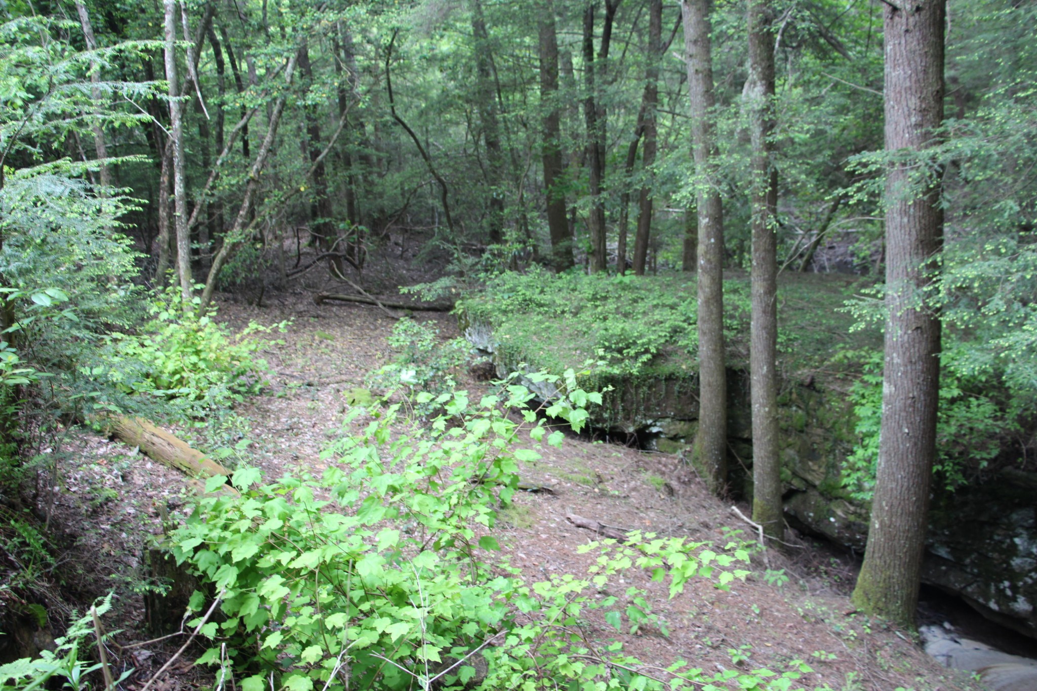 398 Jim Garrett Road Monterey, TN 38574 - Photo 17 of 30 Gallery Image 17