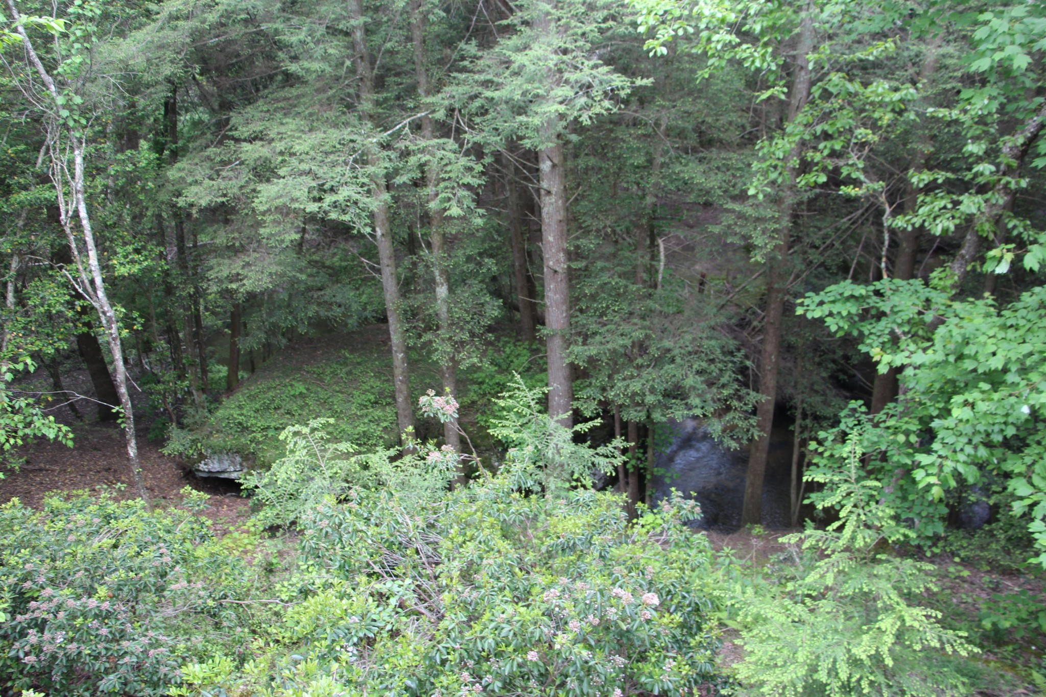 398 Jim Garrett Road Monterey, TN 38574 - Photo 20 of 30 Gallery Image 20