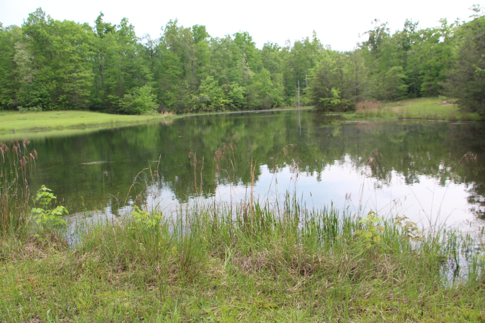 398 Jim Garrett Road Monterey, TN 38574 - Photo 25 of 30 Gallery Image 25