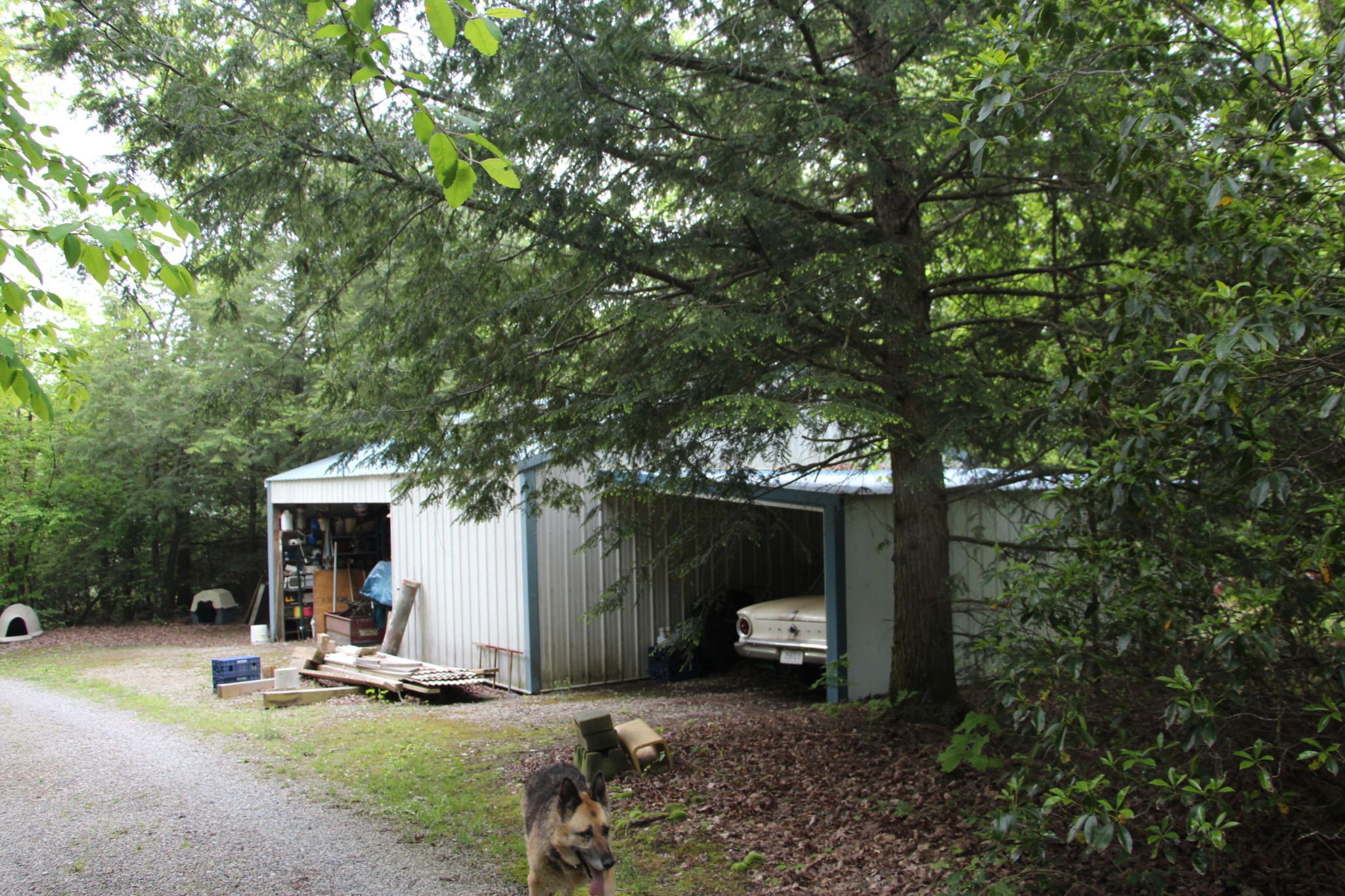 398 Jim Garrett Road Monterey, TN 38574 - Photo 29 of 30 Gallery Image 29