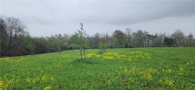 $1,250,000 | 0 Lower Mudlic Road, New Bethlehem, PA 16240